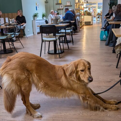 PXL_20250923_085935953.MP